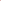 Marigold Rush - Red